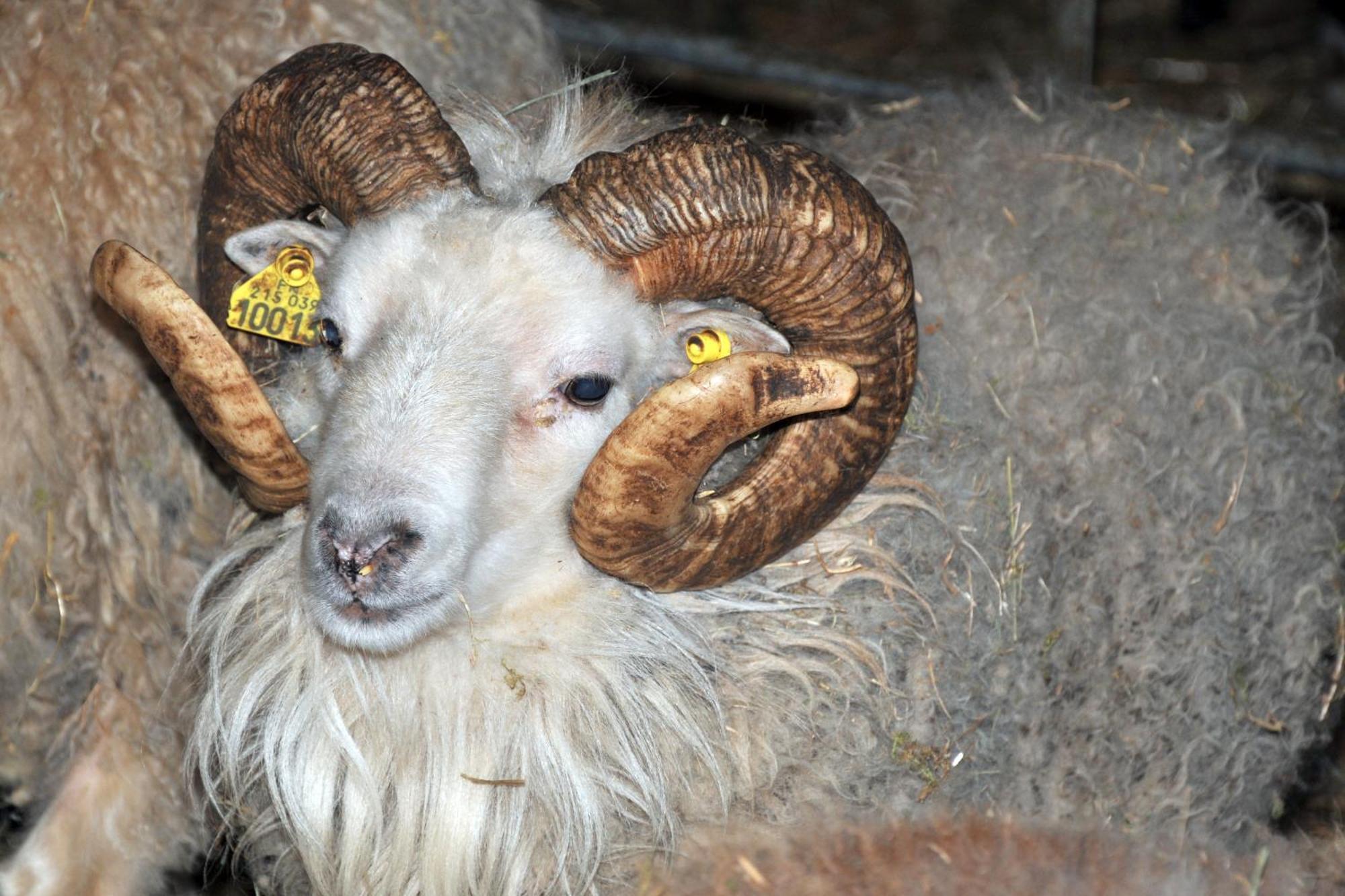 Willa La Ferme De Flo' Evry  Zewnętrze zdjęcie